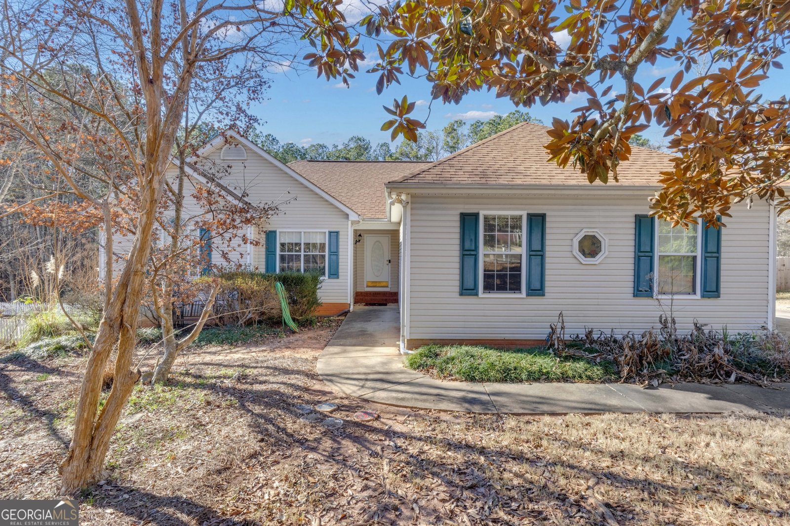 165 Masters Drive Newnan - Photo 1