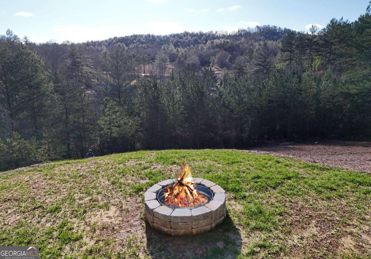 22 Walnut SPUR Mineral Bluff - Photo 10