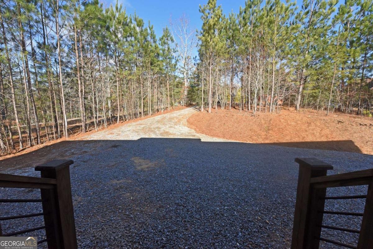 22 Walnut SPUR Mineral Bluff - Photo 46