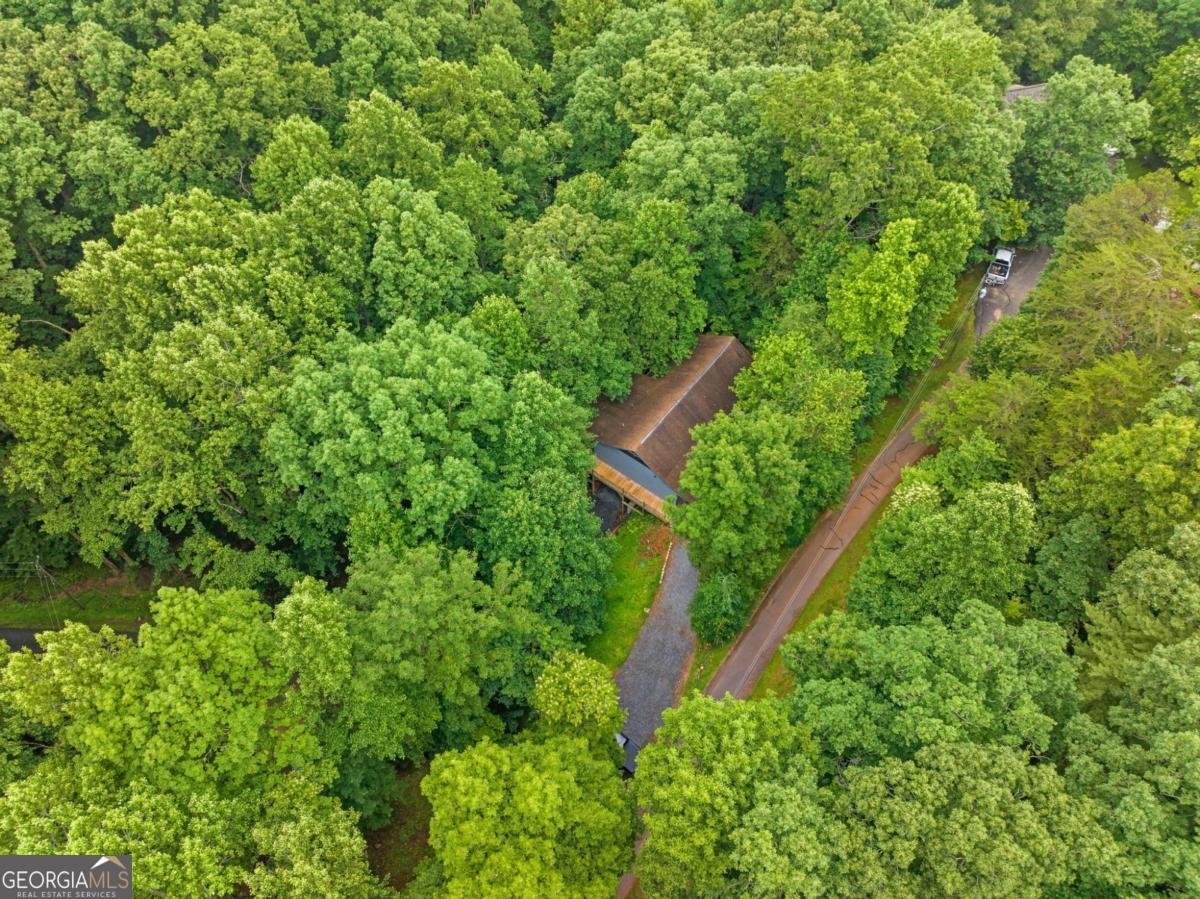 65 Dogwood Lane Ellijay - Photo 39