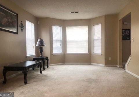 3920 Creek Shoals Court Ellenwood - Photo 8