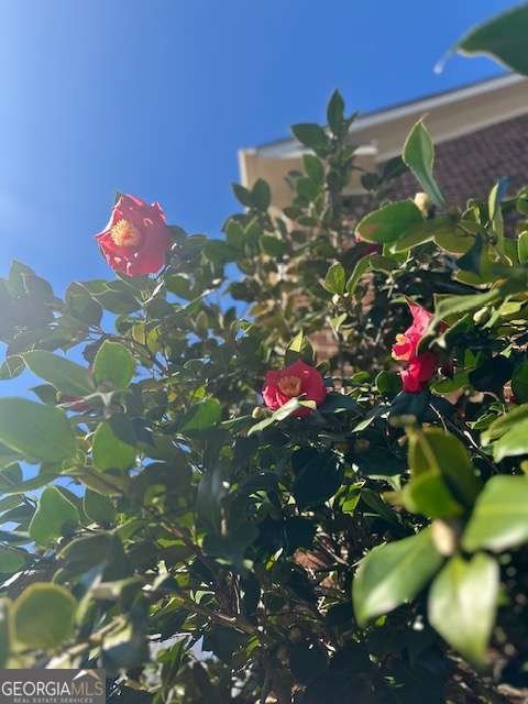 3030 Gadsden Street Alpharetta - Photo 27