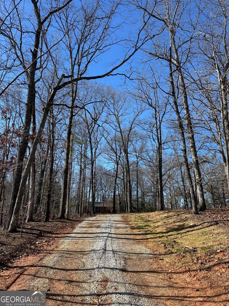 775 Bolton Road Zebulon - Photo 16