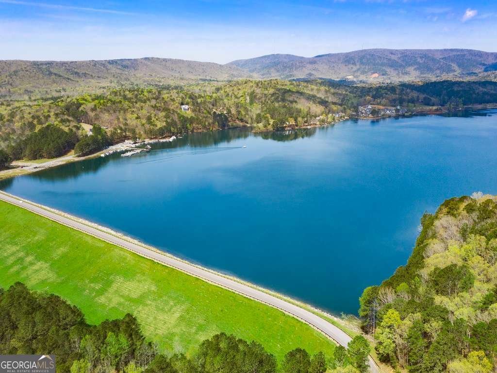 102 Fort Gibson Court Waleska - Photo 21