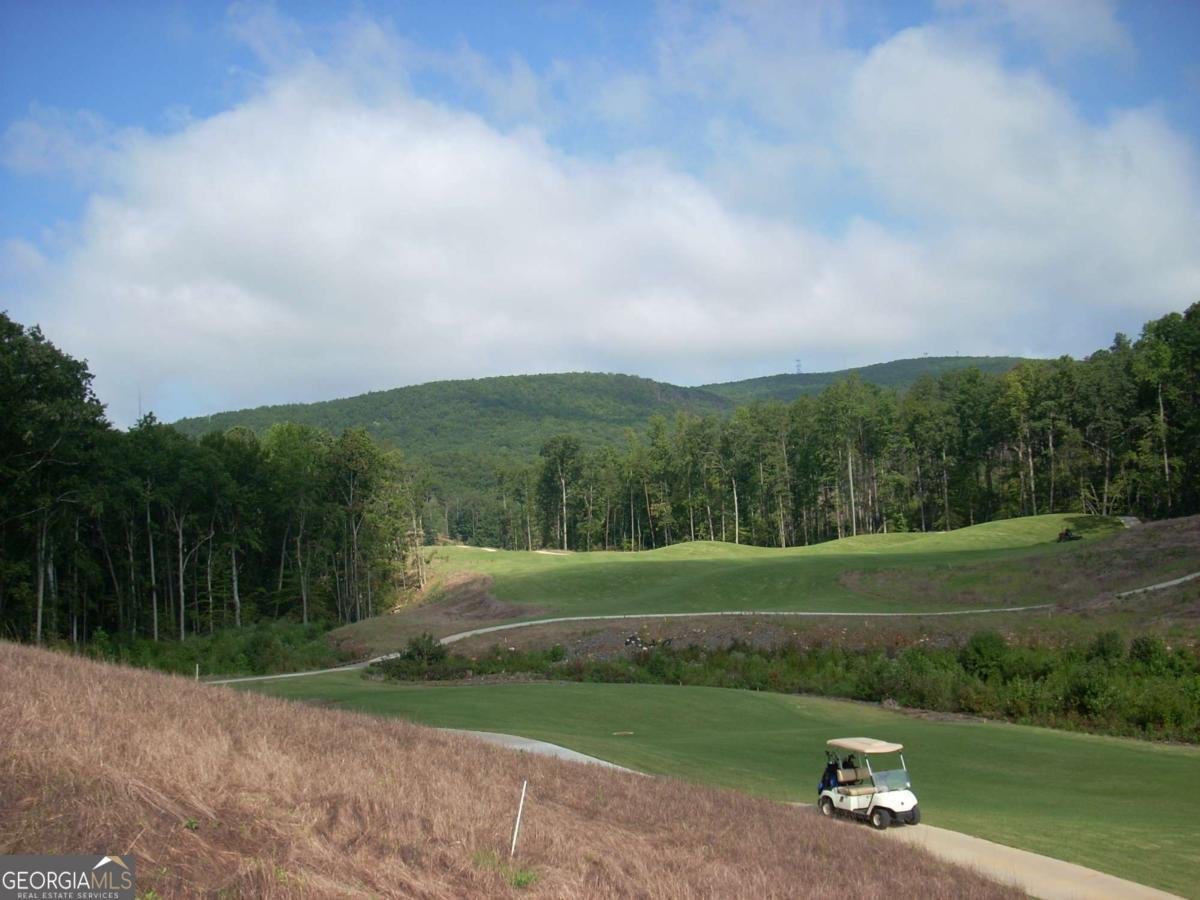 102 Fort Gibson Court Waleska - Photo 29