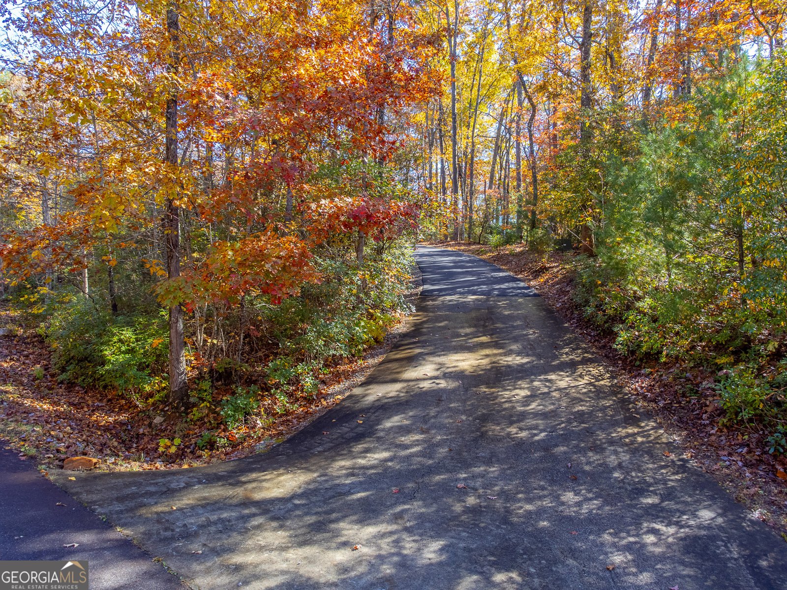 258 Turtle Cove Clayton - Photo 38