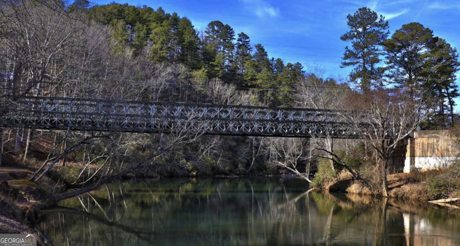 82 Monitor Drive Ellijay - Photo 39