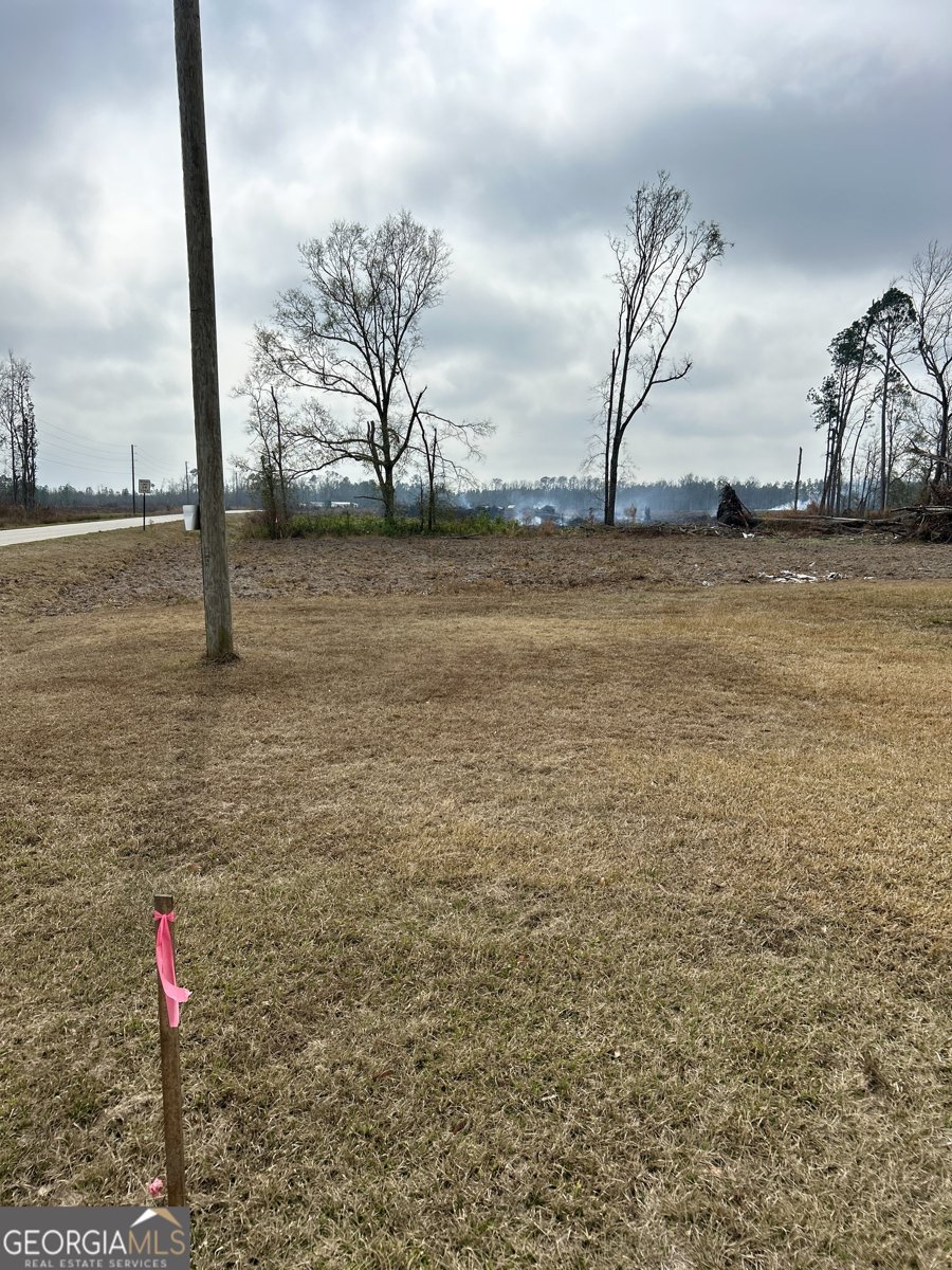 7468 George Deen Road West Green - Photo 26