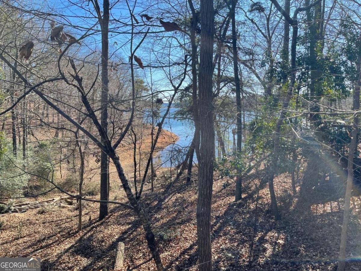 20 Clipper Circle Hartwell - Photo 8