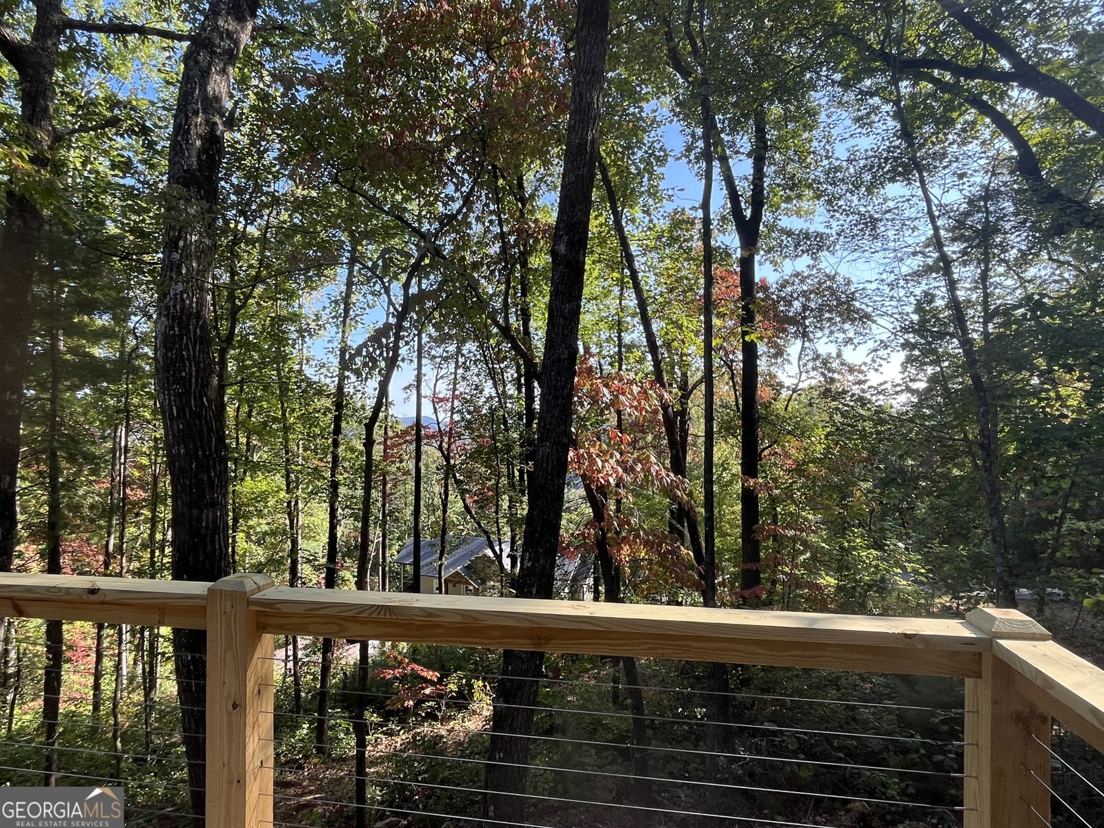 673 Autumn Ridge Drive Clayton - Photo 19