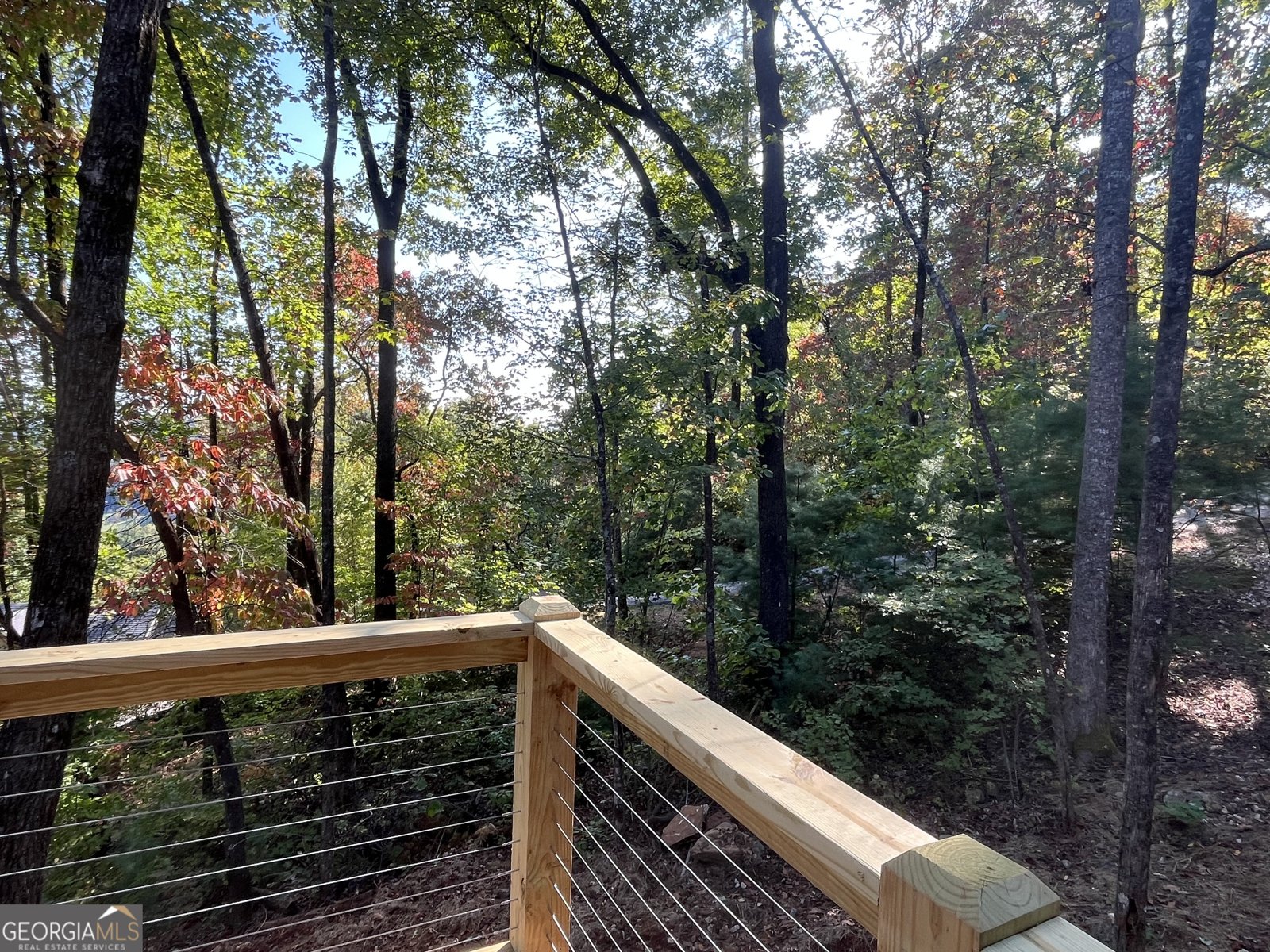 673 Autumn Ridge Drive Clayton - Photo 21