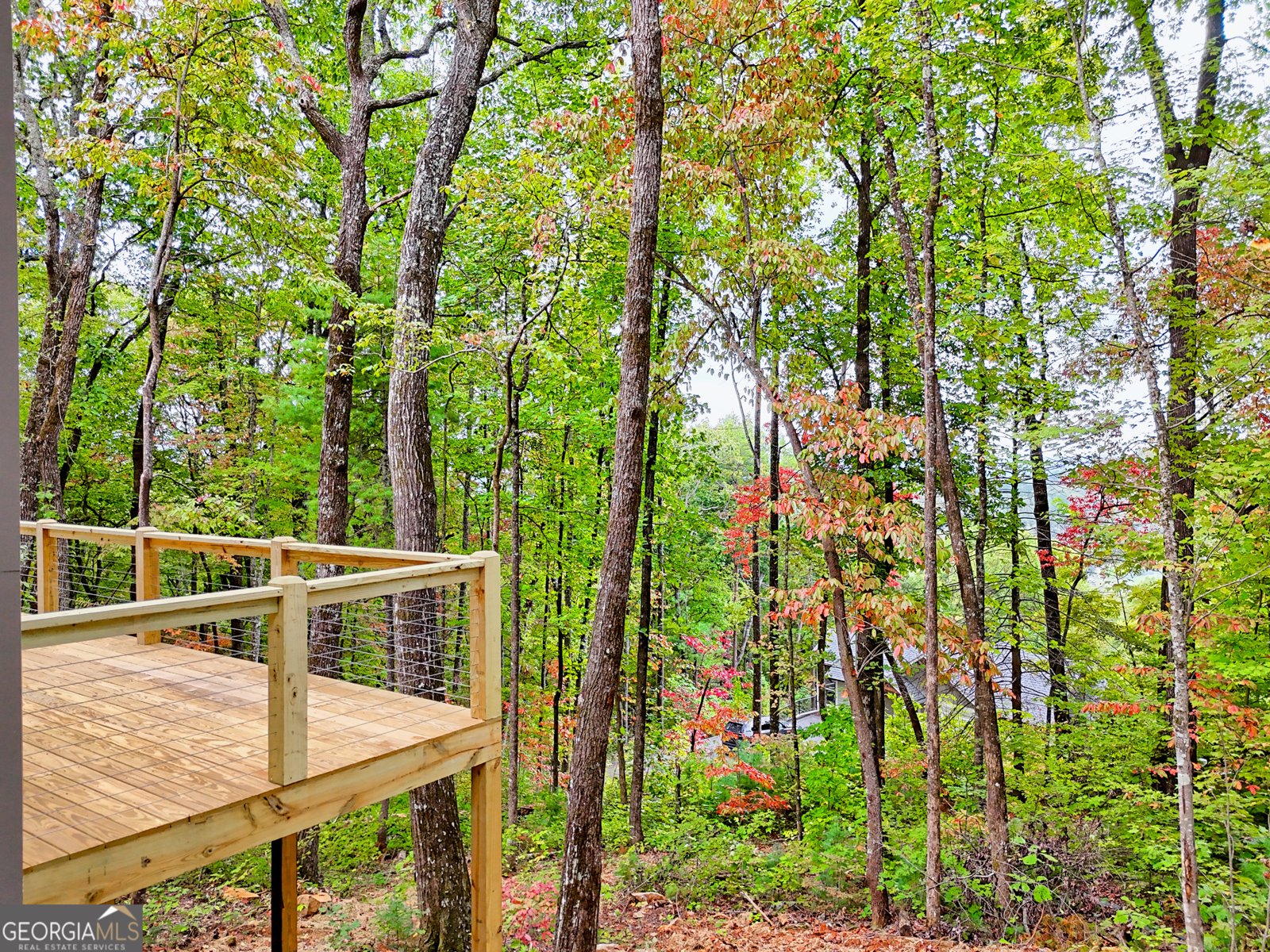 673 Autumn Ridge Drive Clayton - Photo 22