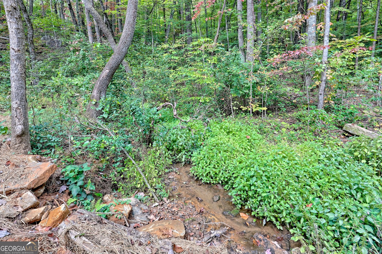 673 Autumn Ridge Drive Clayton - Photo 25