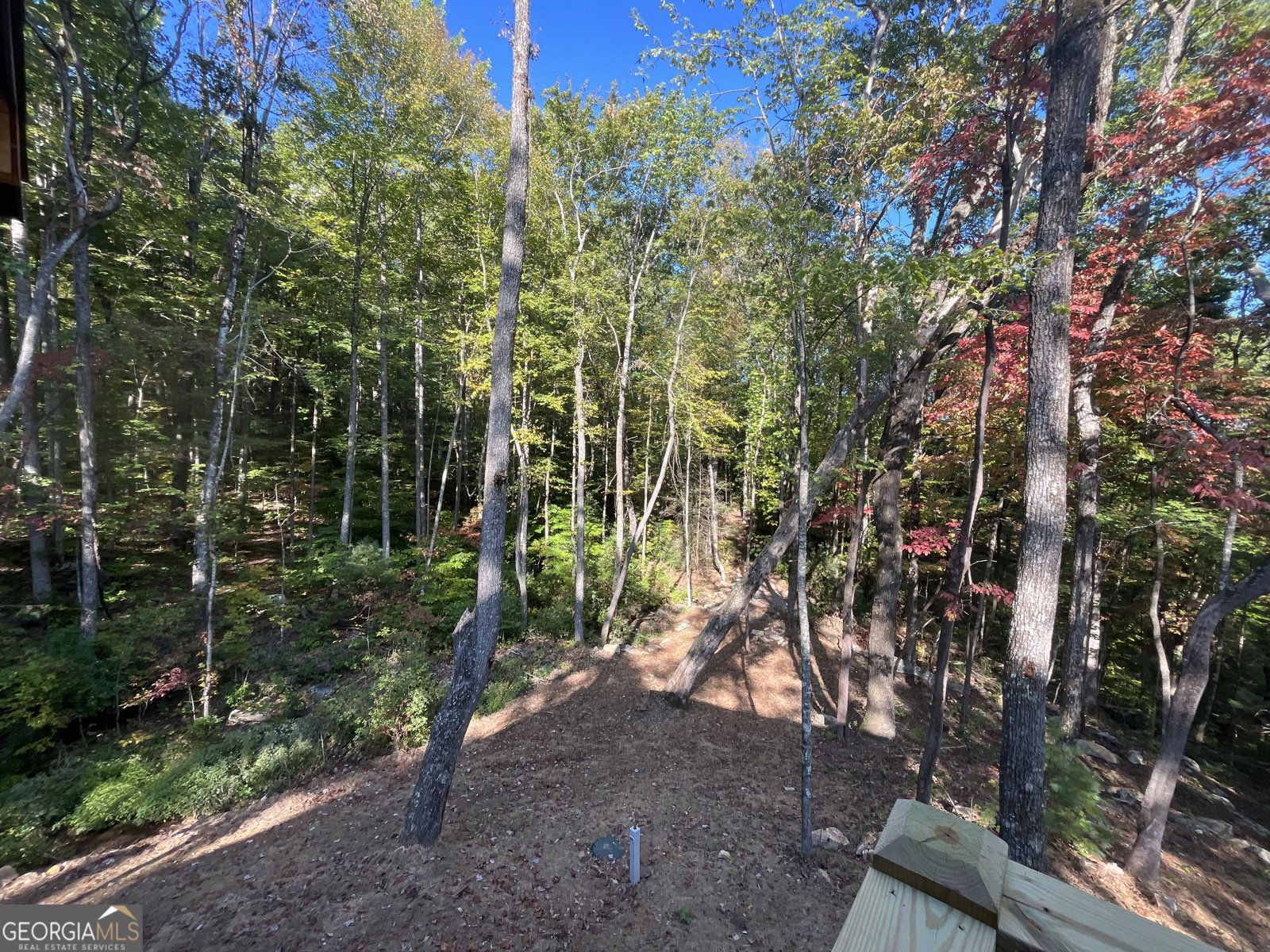 673 Autumn Ridge Drive Clayton - Photo 26