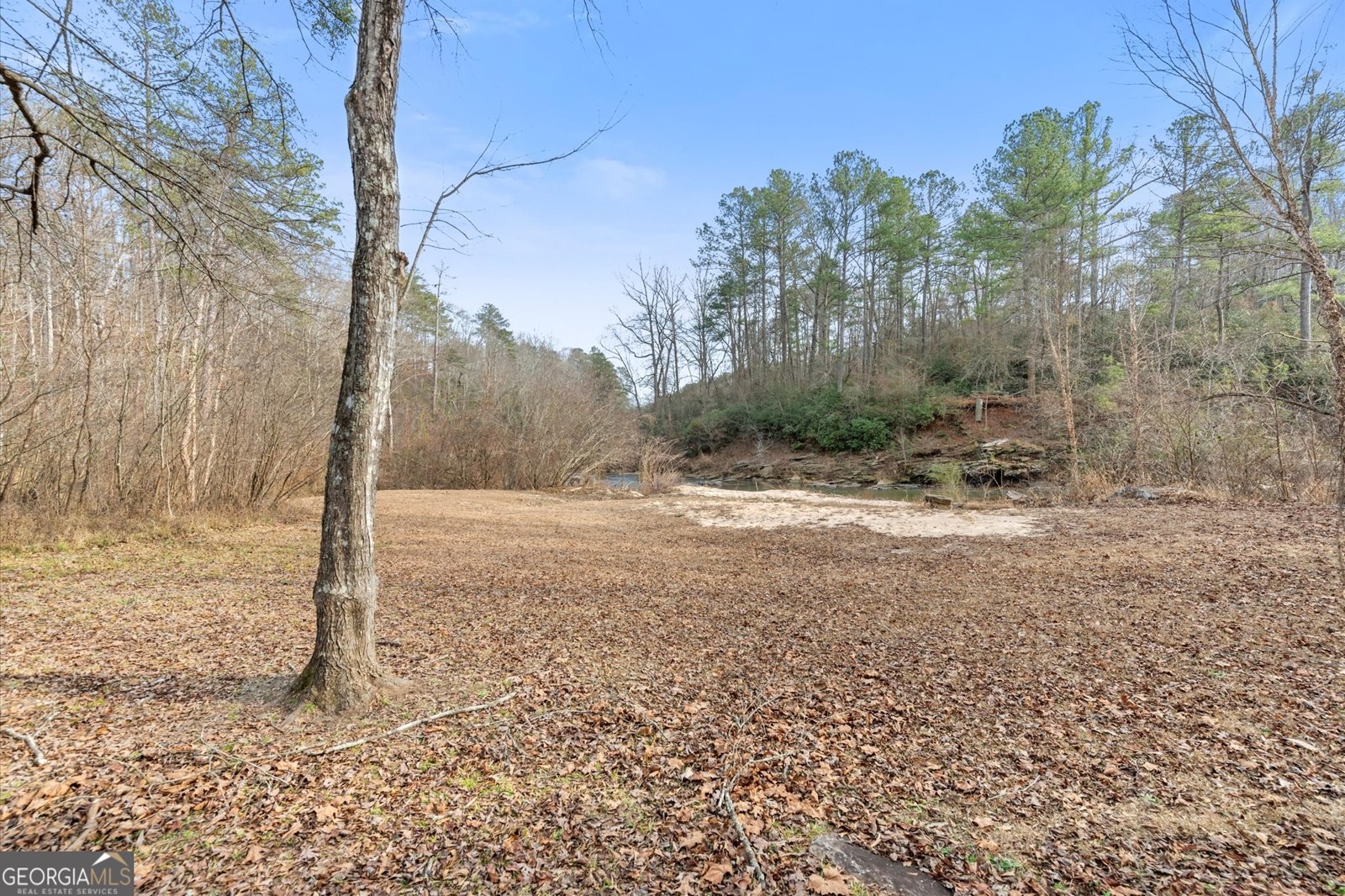 7277 AVALON Drive Douglasville - Photo 108