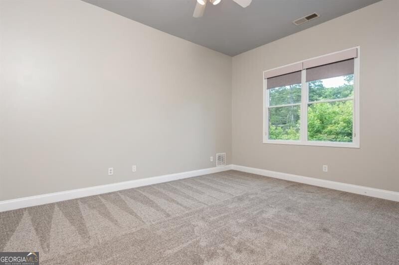 3505 Watson Road Cumming - Photo 59