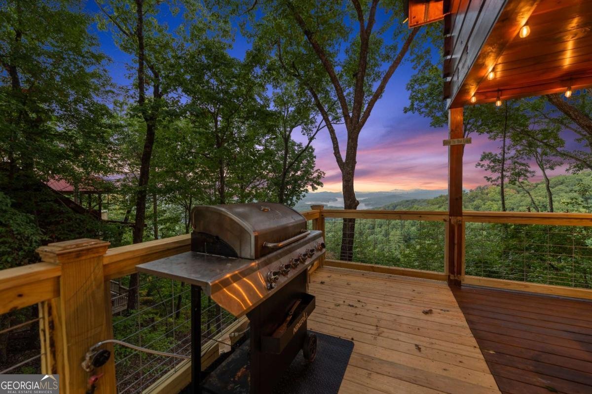 907 Ripshin Mountain Road Blue Ridge - Photo 43