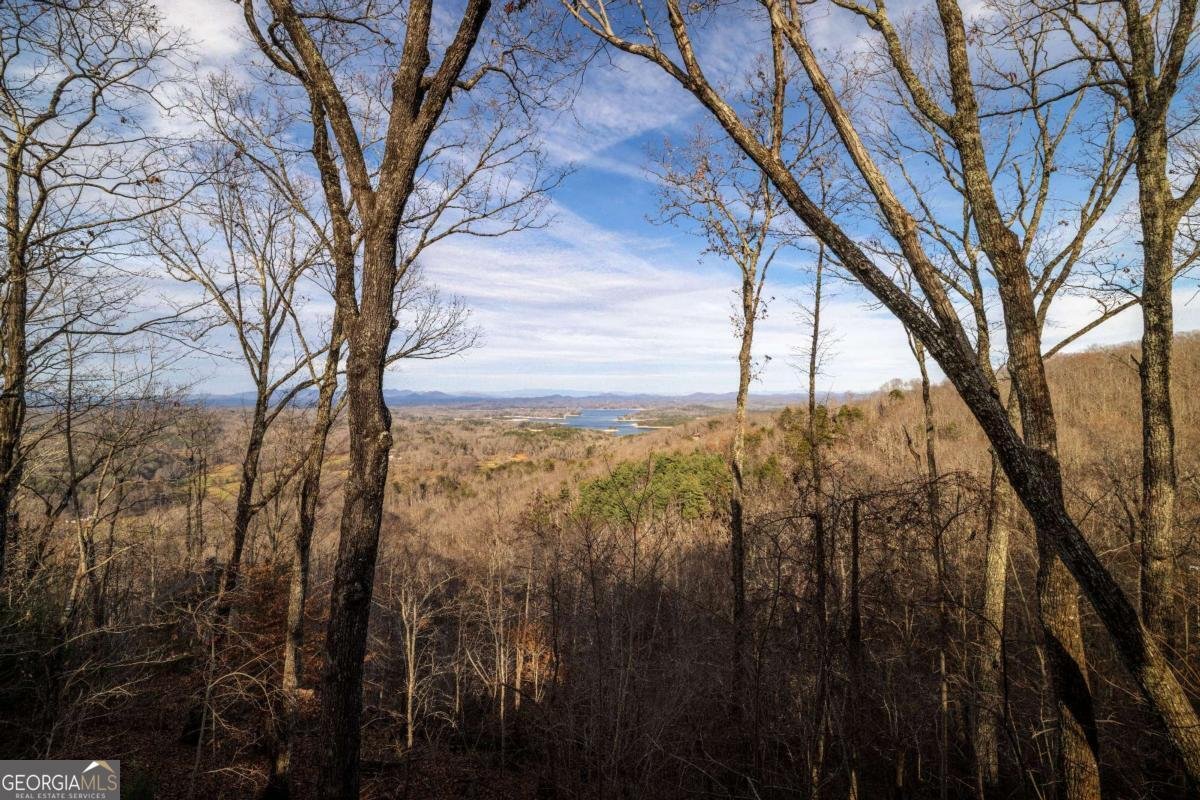 907 Ripshin Mountain Road Blue Ridge - Photo 47