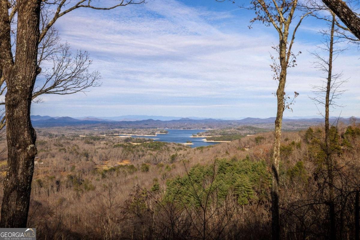 907 Ripshin Mountain Road Blue Ridge - Photo 48