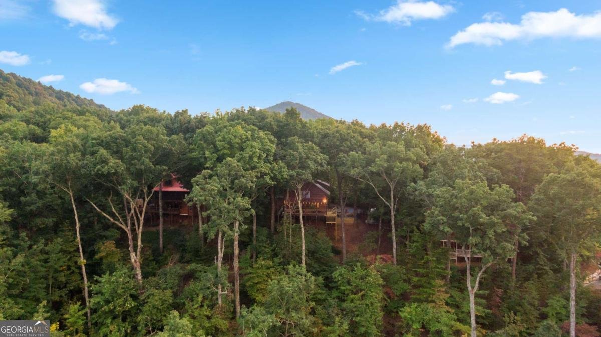 907 Ripshin Mountain Road Blue Ridge - Photo 51