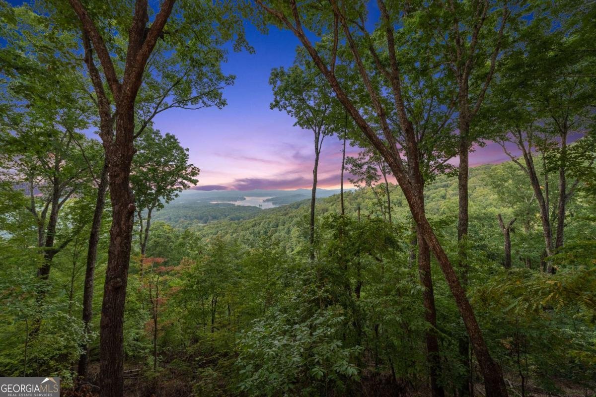 907 Ripshin Mountain Road Blue Ridge - Photo 54