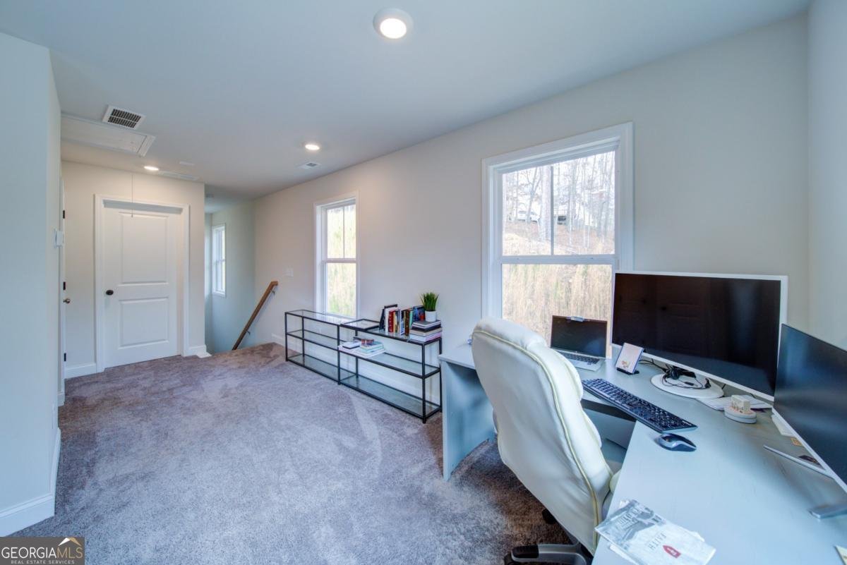 170 White Antelope Street Waleska - Photo 21