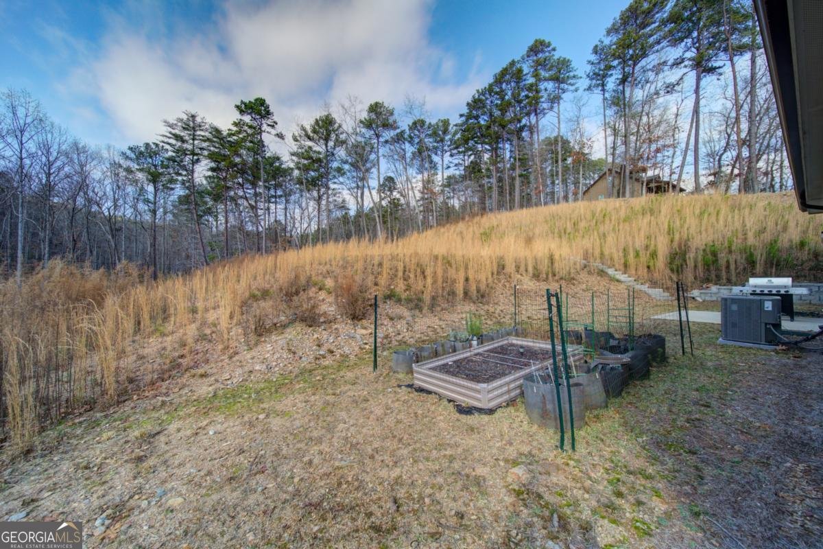 170 White Antelope Street Waleska - Photo 38