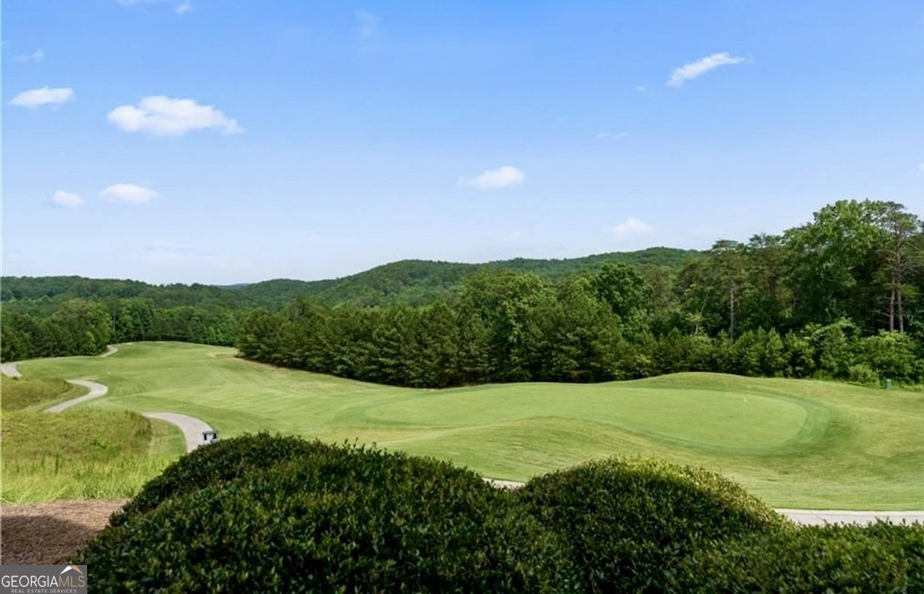 170 White Antelope Street Waleska - Photo 45