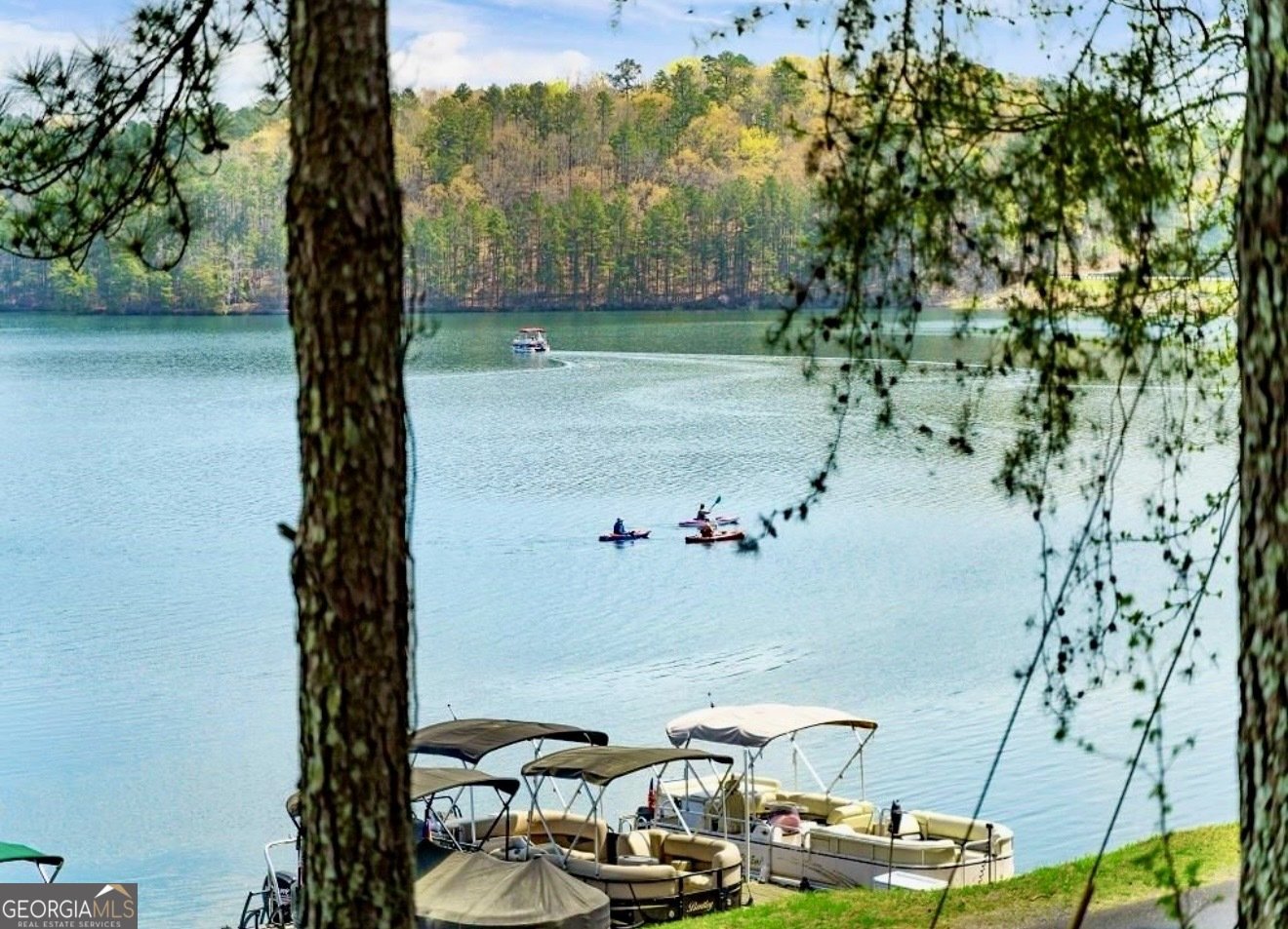 170 White Antelope Street Waleska - Photo 50