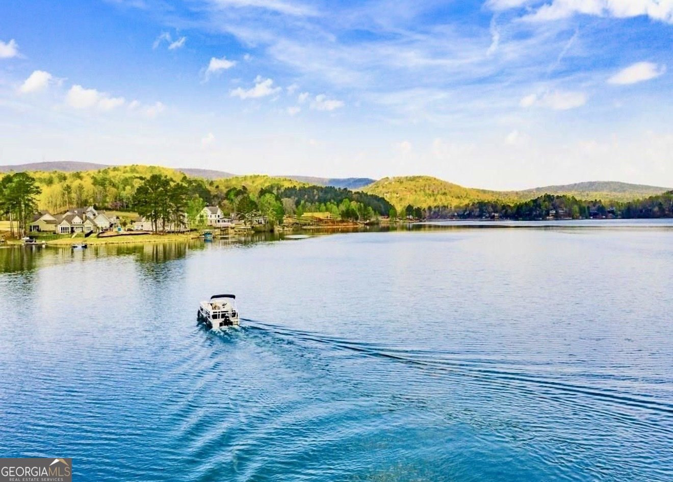 170 White Antelope Street Waleska - Photo 51