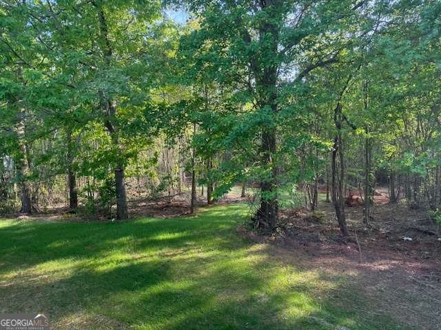 236 Dewaters Road Commerce - Photo 15