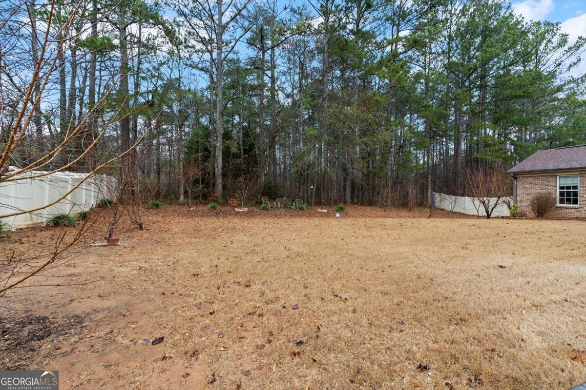 197 Berrywood Court Mcdonough - Photo 47