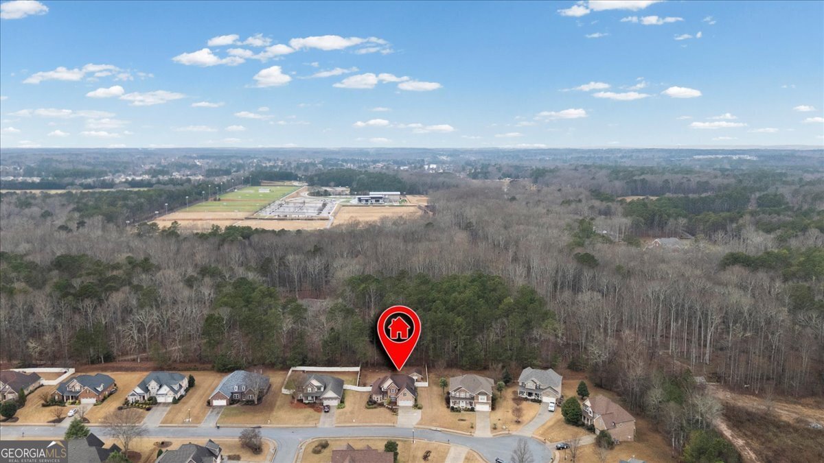 197 Berrywood Court Mcdonough - Photo 53