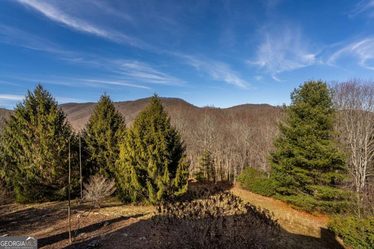 196 Mauldin Creek Road Suches - Photo 12