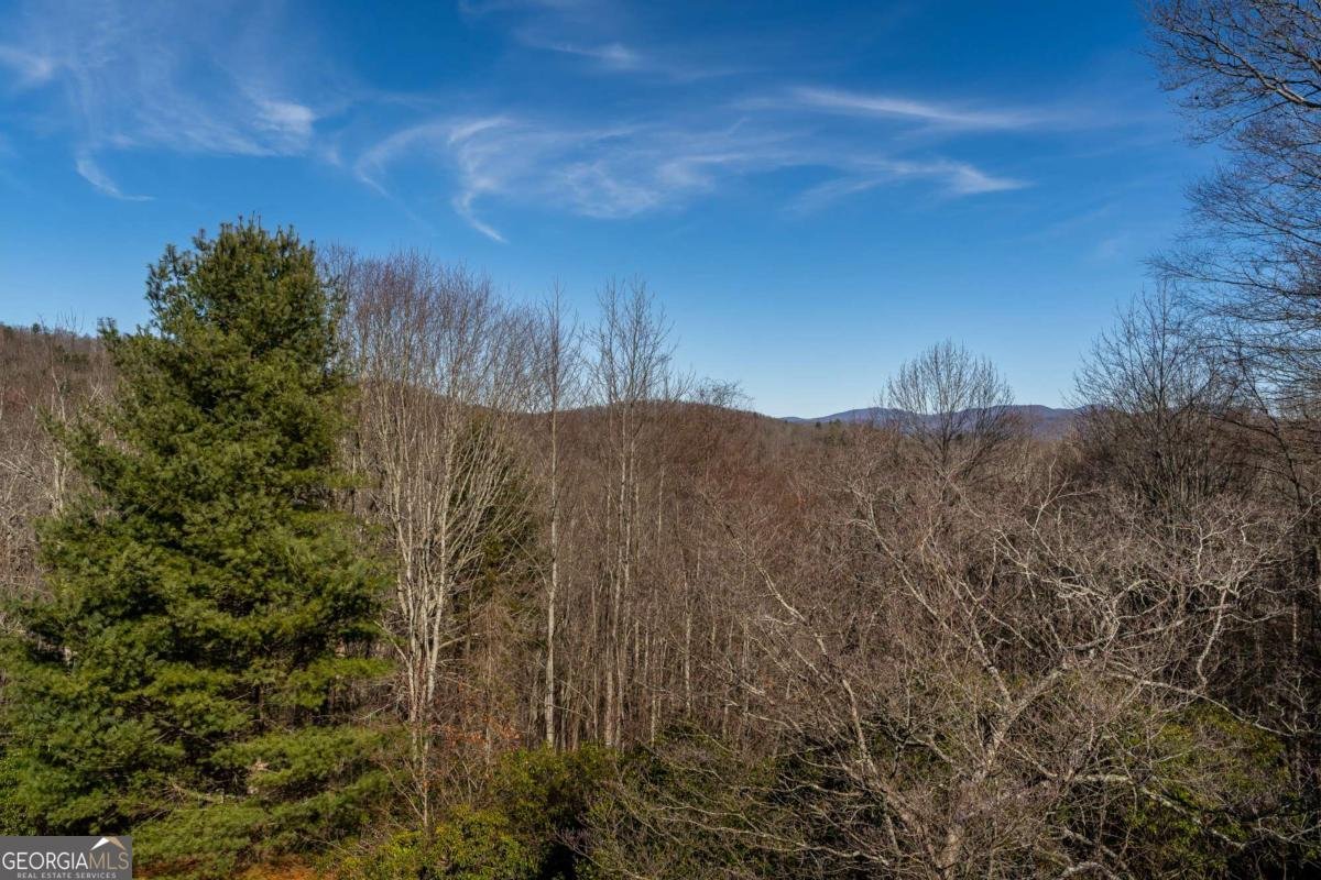 196 Mauldin Creek Road Suches - Photo 13