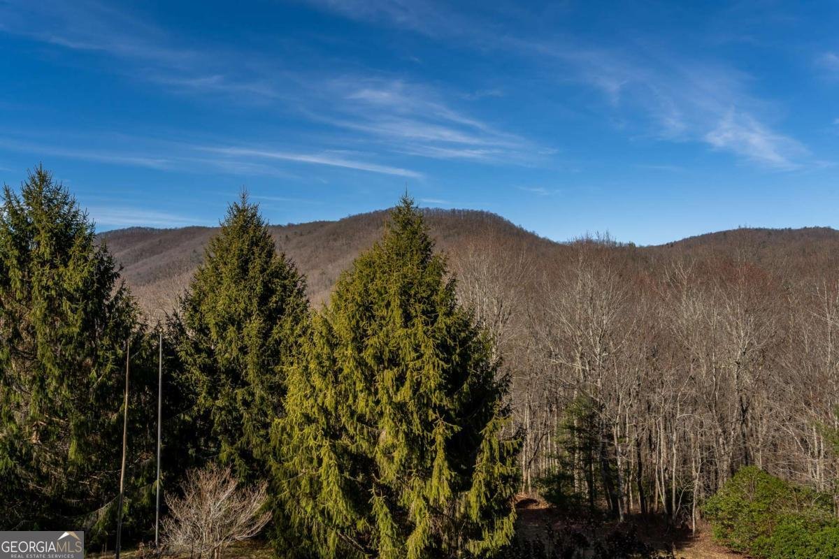 196 Mauldin Creek Road Suches - Photo 14