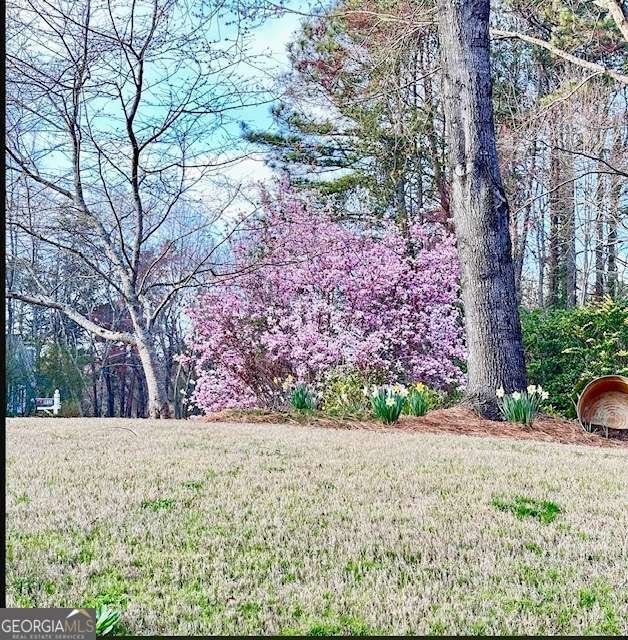 1945 Tiner Court Cumming - Photo 44