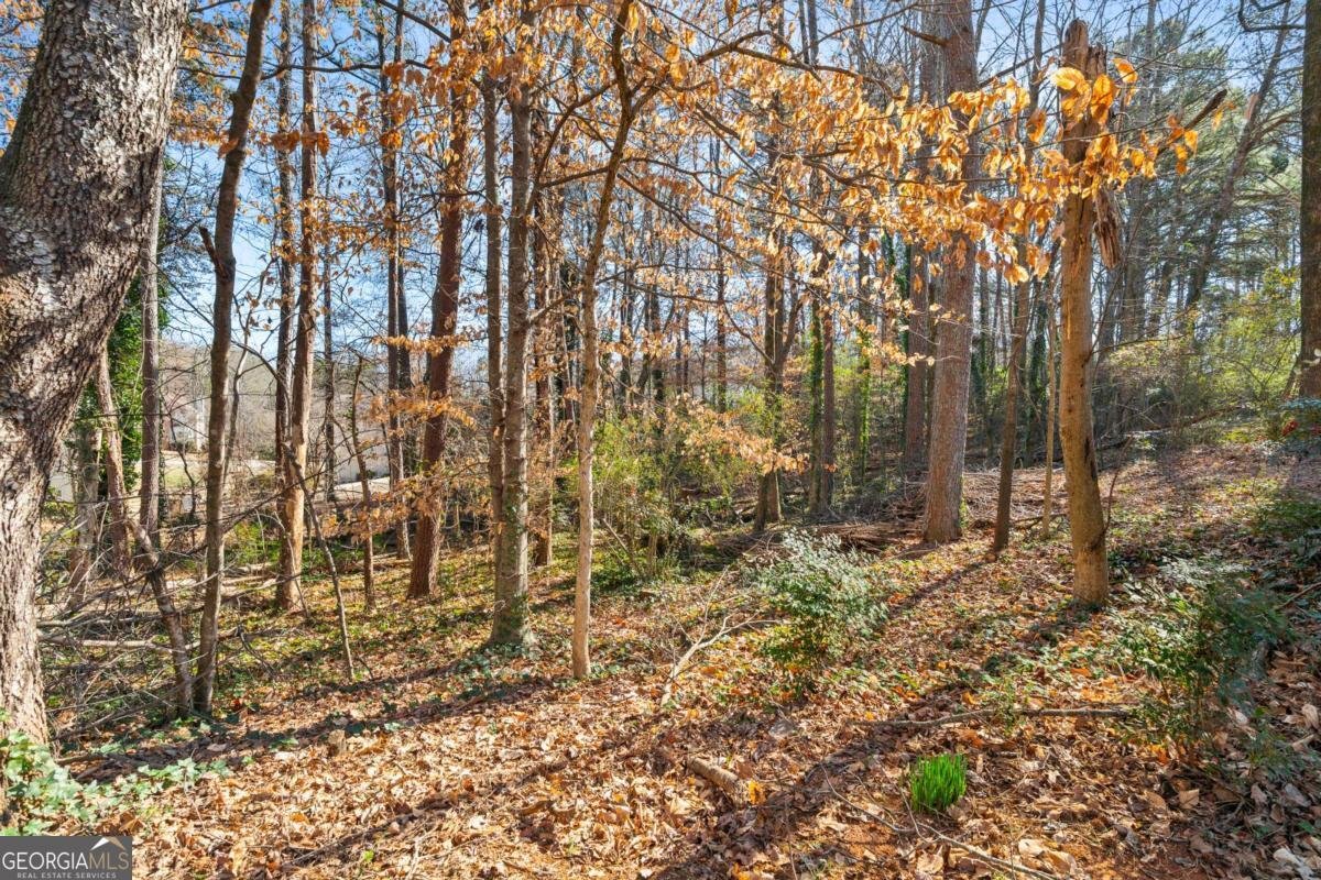 1945 Tiner Court Cumming - Photo 49