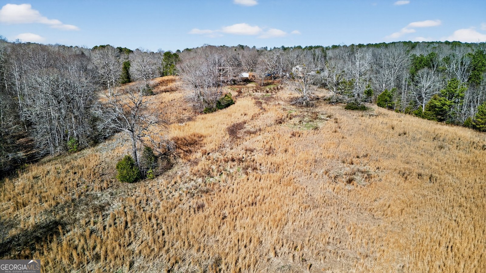 1605 Bartley Road Lagrange - Photo 33