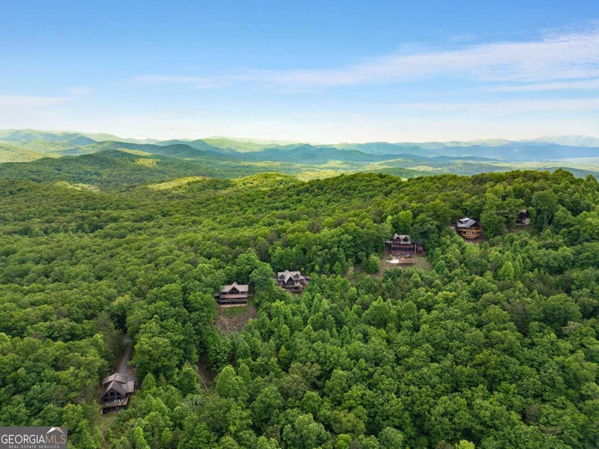 231 Sunrock Mountain Trail Blue Ridge - Photo 59