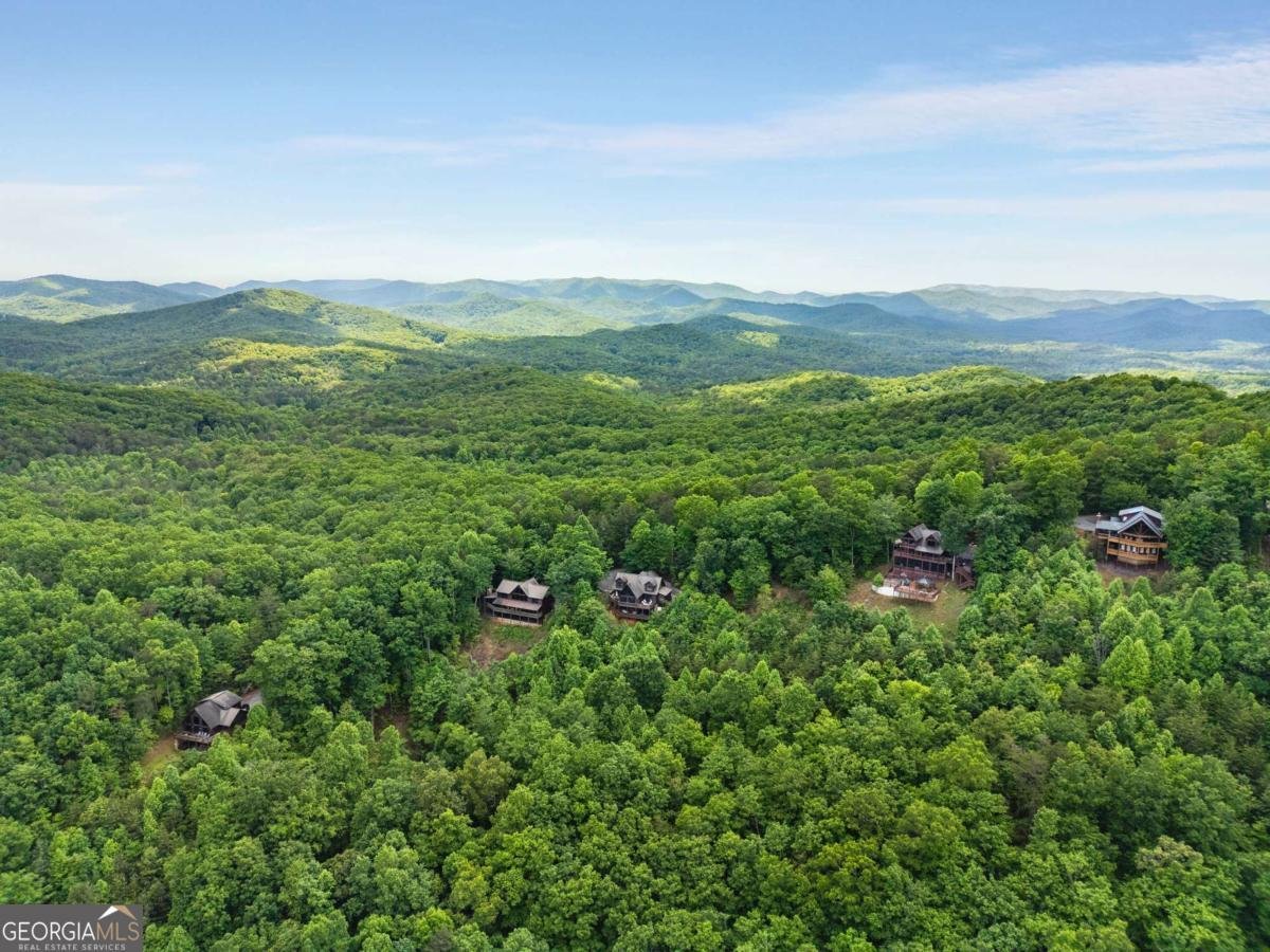 231 Sunrock Mountain Trail Blue Ridge - Photo 60