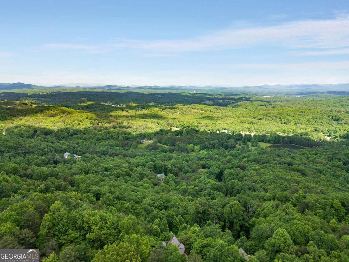 231 Sunrock Mountain Trail Blue Ridge - Photo 61