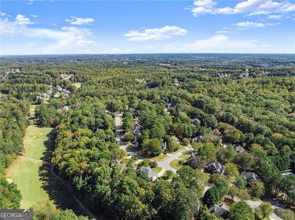 2450 Wild Iris Lane Dacula - Photo 53