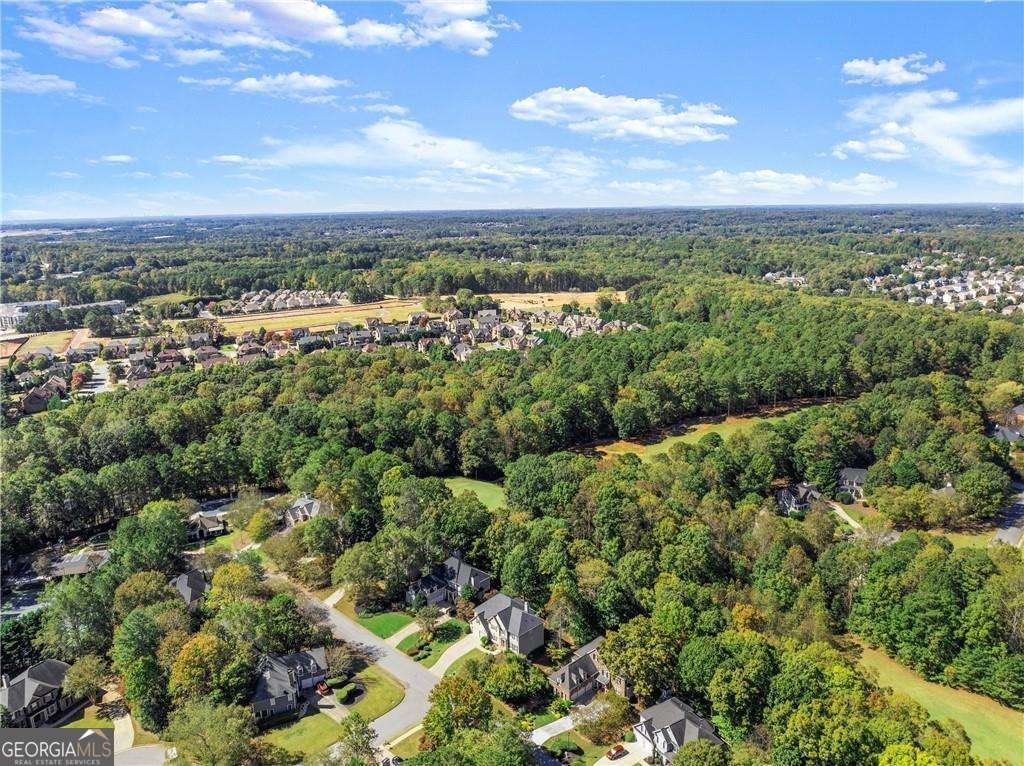 2450 Wild Iris Lane Dacula - Photo 56