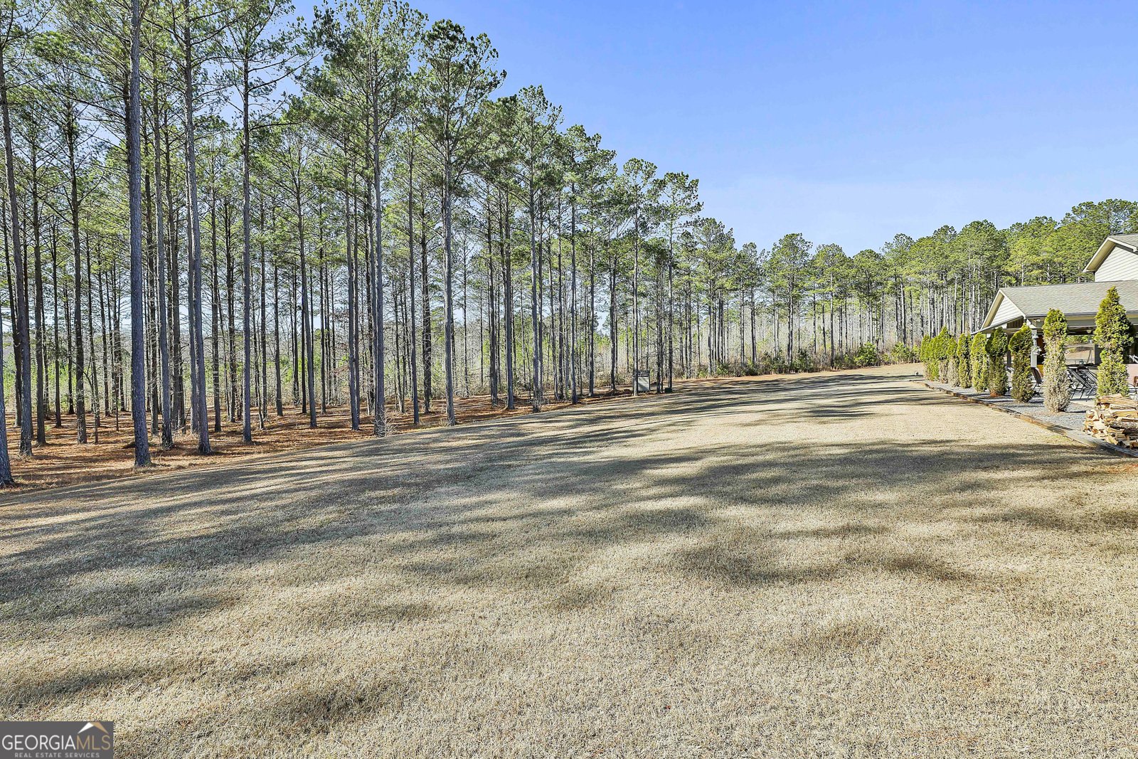 2161 Bear Creek Road Moreland - Photo 124