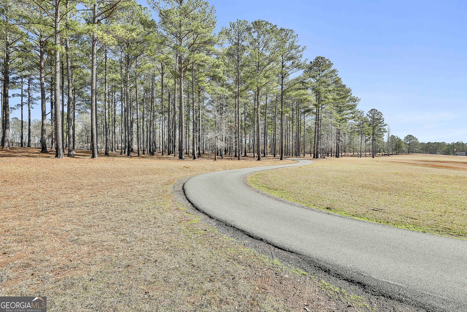 2161 Bear Creek Road Moreland - Photo 13