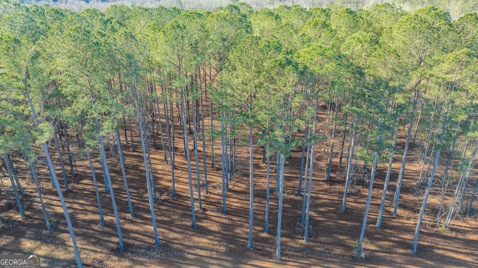 2161 Bear Creek Road Moreland - Photo 130