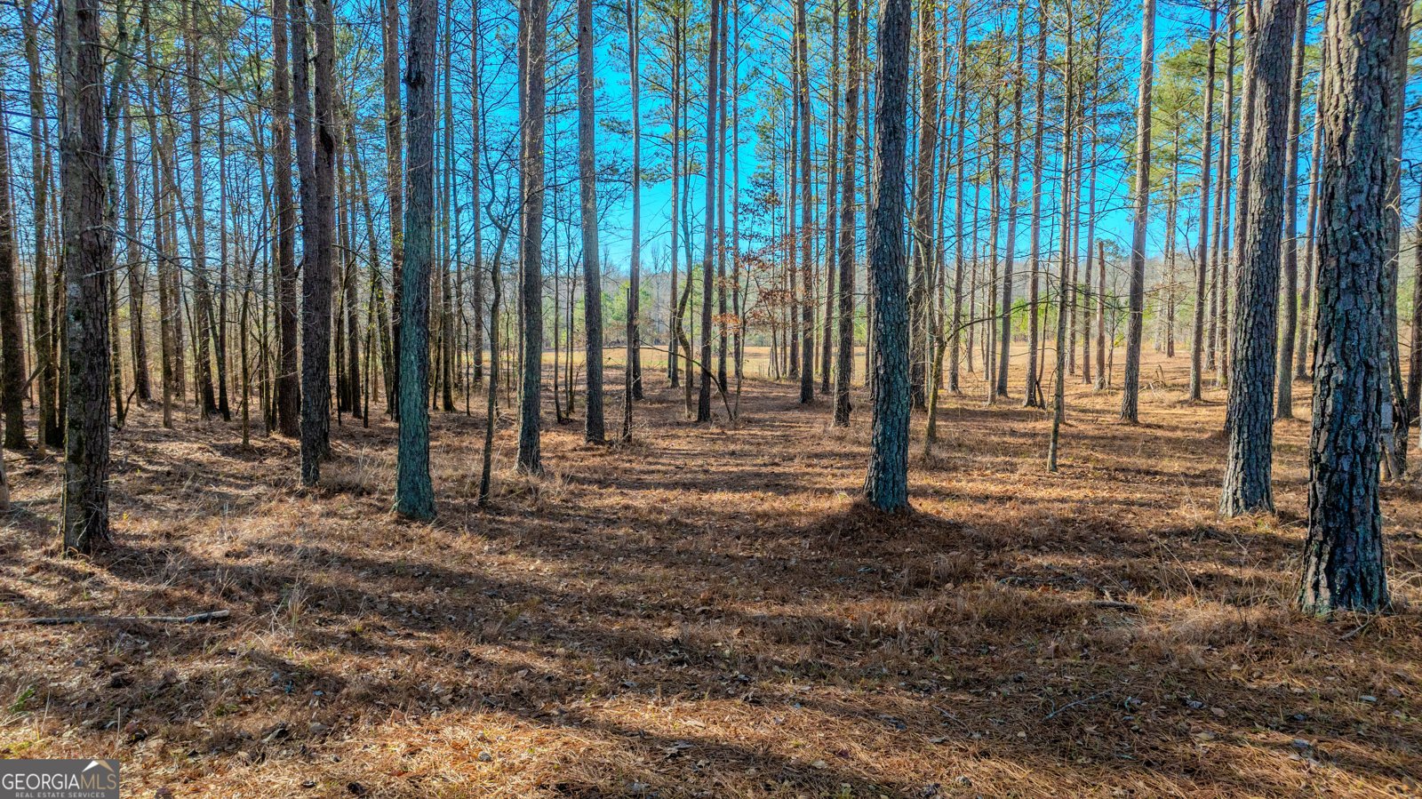 2161 Bear Creek Road Moreland - Photo 131