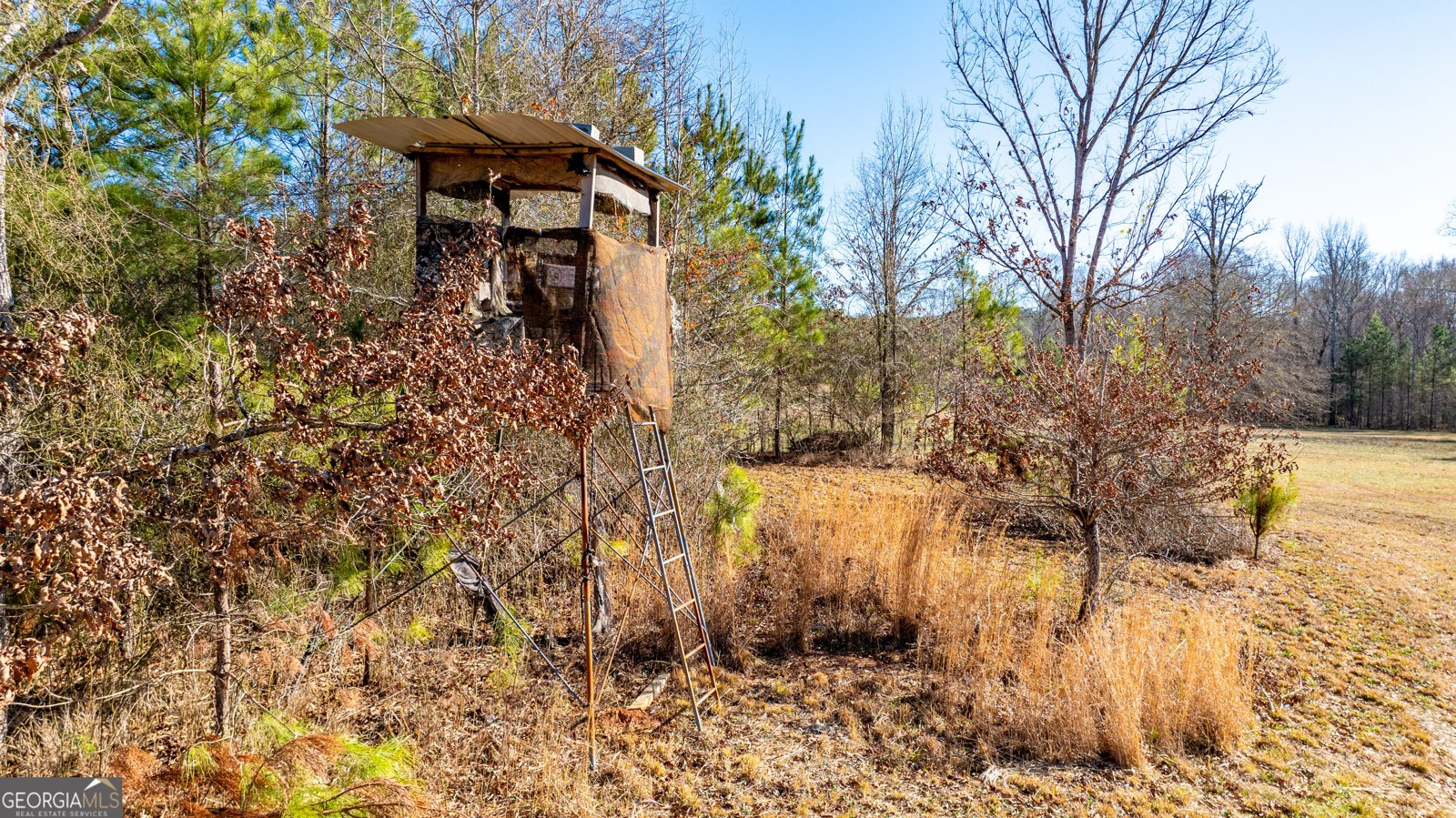 2161 Bear Creek Road Moreland - Photo 139