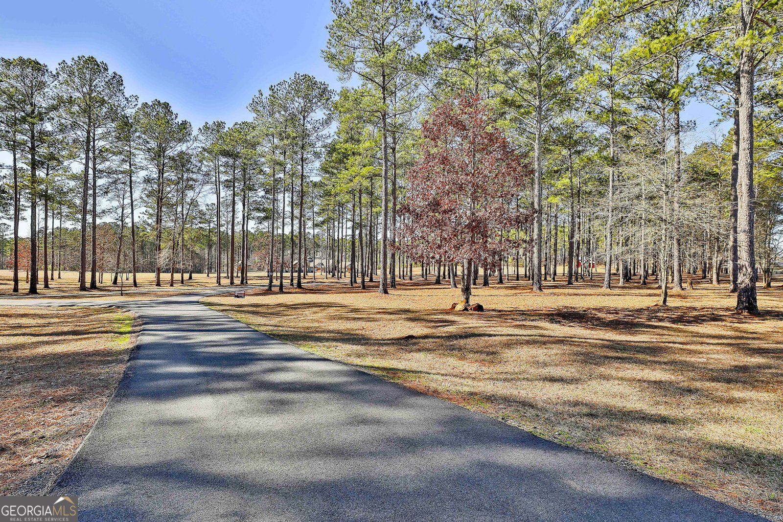 2161 Bear Creek Road Moreland - Photo 8